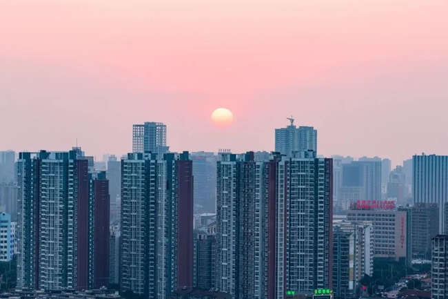 一周观察