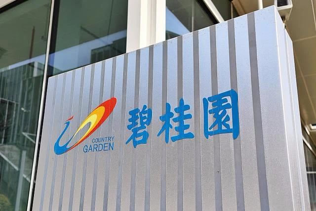 突发：碧桂园地产总经理被限制高消费