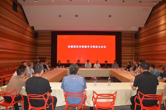 民建保定市委鑫丰支部正式成立 开启新篇章 助力新发展